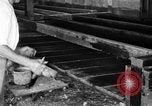 Standbild chicken anheben United States USA, 1919, aus Sekunde 15 historischem Filmmaterial Videoclip 65675072551
