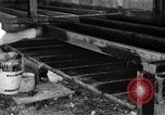 Standbild chicken anheben United States USA, 1919, aus Sekunde 18 historischem Filmmaterial Videoclip 65675072551