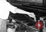Standbild chicken anheben United States USA, 1919, aus Sekunde 21 historischem Filmmaterial Videoclip 65675072551