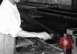 Standbild chicken anheben United States USA, 1919, aus Sekunde 31 historischem Filmmaterial Videoclip 65675072551