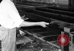 Standbild chicken anheben United States USA, 1919, aus Sekunde 33 historischem Filmmaterial Videoclip 65675072551