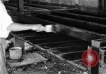 Standbild chicken anheben United States USA, 1919, aus Sekunde 36 historischem Filmmaterial Videoclip 65675072551