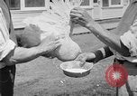 Standbild chicken anheben United States USA, 1919, aus Sekunde 52 historischem Filmmaterial Videoclip 65675072551