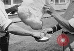 Standbild chicken anheben United States USA, 1919, aus Sekunde 53 historischem Filmmaterial Videoclip 65675072551