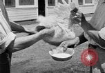 Standbild chicken anheben United States USA, 1919, aus Sekunde 54 historischem Filmmaterial Videoclip 65675072551
