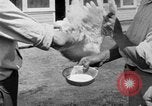 Standbild chicken anheben United States USA, 1919, aus Sekunde 55 historischem Filmmaterial Videoclip 65675072551