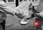 Standbild chicken anheben United States USA, 1919, aus Sekunde 56 historischem Filmmaterial Videoclip 65675072551