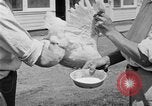 Standbild chicken anheben United States USA, 1919, aus Sekunde 59 historischem Filmmaterial Videoclip 65675072551