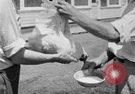 Standbild chicken anheben United States USA, 1919, aus Sekunde 60 historischem Filmmaterial Videoclip 65675072551
