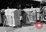 Standbild Baumwolle Versand New York United States USA, 1919, aus Sekunde 23 historischem Filmmaterial Videoclip 65675072557
