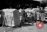Standbild Baumwolle Versand New York United States USA, 1919, aus Sekunde 24 historischem Filmmaterial Videoclip 65675072557