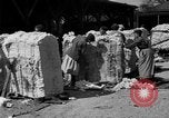 Standbild Baumwolle Versand New York United States USA, 1919, aus Sekunde 27 historischem Filmmaterial Videoclip 65675072557