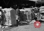 Standbild Baumwolle Versand New York United States USA, 1919, aus Sekunde 30 historischem Filmmaterial Videoclip 65675072557