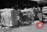 Standbild Baumwolle Versand New York United States USA, 1919, aus Sekunde 31 historischem Filmmaterial Videoclip 65675072557