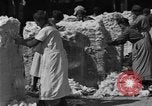 Standbild Baumwolle Versand New York United States USA, 1919, aus Sekunde 43 historischem Filmmaterial Videoclip 65675072557