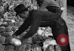 Standbild Baumwolle Versand New York United States USA, 1919, aus Sekunde 48 historischem Filmmaterial Videoclip 65675072557