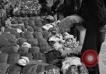 Standbild Baumwolle Versand New York United States USA, 1919, aus Sekunde 59 historischem Filmmaterial Videoclip 65675072557