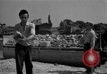 Image of rebuilding activities Berlin Germany, 1953, second 50 stock footage video 65675072563