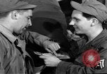 Immagine di Civili tedesco Germania, 1948, secondo 55 filmato di repertorio 65675072575