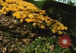 Image of Interior Department building Washington DC USA, 1966, second 32 stock footage video 65675072580