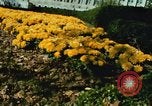 Image of Interior Department building Washington DC USA, 1966, second 34 stock footage video 65675072580