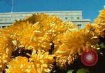 Image of Interior Department building Washington DC USA, 1966, second 46 stock footage video 65675072580