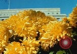 Image of Interior Department building Washington DC USA, 1966, second 47 stock footage video 65675072580
