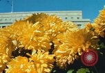 Image of Interior Department building Washington DC USA, 1966, second 48 stock footage video 65675072580