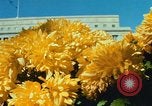 Image of Interior Department building Washington DC USA, 1966, second 52 stock footage video 65675072580