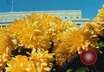 Image of Interior Department building Washington DC USA, 1966, second 54 stock footage video 65675072580