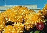 Image of Interior Department building Washington DC USA, 1966, second 57 stock footage video 65675072580