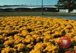 Standbild Roosevelt Bridge Washington DC USA, 1966, aus Sekunde 40 historischem Filmmaterial Videoclip 65675072583