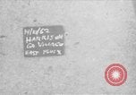 Image of Washington Square Park New York United States USA, 1962, second 1 stock footage video 65675072586