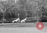 Image of Fordham University New York United States USA, 1962, second 45 stock footage video 65675072590