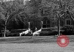 Image of Fordham University New York United States USA, 1962, second 46 stock footage video 65675072590