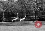 Image of Fordham University New York United States USA, 1962, second 47 stock footage video 65675072590