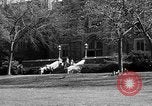 Image of Fordham University New York United States USA, 1962, second 48 stock footage video 65675072590