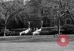 Image of Fordham University New York United States USA, 1962, second 49 stock footage video 65675072590