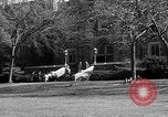 Image of Fordham University New York United States USA, 1962, second 50 stock footage video 65675072590