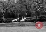 Image of Fordham University New York United States USA, 1962, second 51 stock footage video 65675072590