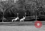 Image of Fordham University New York United States USA, 1962, second 53 stock footage video 65675072590