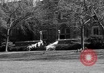 Image of Fordham University New York United States USA, 1962, second 54 stock footage video 65675072590