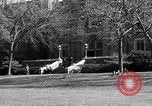 Image of Fordham University New York United States USA, 1962, second 56 stock footage video 65675072590