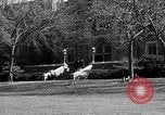 Image of Fordham University New York United States USA, 1962, second 58 stock footage video 65675072590