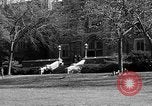Image of Fordham University New York United States USA, 1962, second 59 stock footage video 65675072590