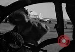 Image of B-29 Superfortress Kansas United States USA, 1946, second 47 stock footage video 65675072617