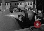 Standbild B-29 Superfortress Kansas United States USA, 1946, aus Sekunde 43 historischem Filmmaterial Videoclip 65675072622
