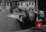 Standbild B-29 Superfortress Kansas United States USA, 1946, aus Sekunde 44 historischem Filmmaterial Videoclip 65675072622