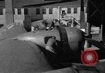 Standbild B-29 Superfortress Kansas United States USA, 1946, aus Sekunde 46 historischem Filmmaterial Videoclip 65675072622