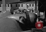 Standbild B-29 Superfortress Kansas United States USA, 1946, aus Sekunde 47 historischem Filmmaterial Videoclip 65675072622
